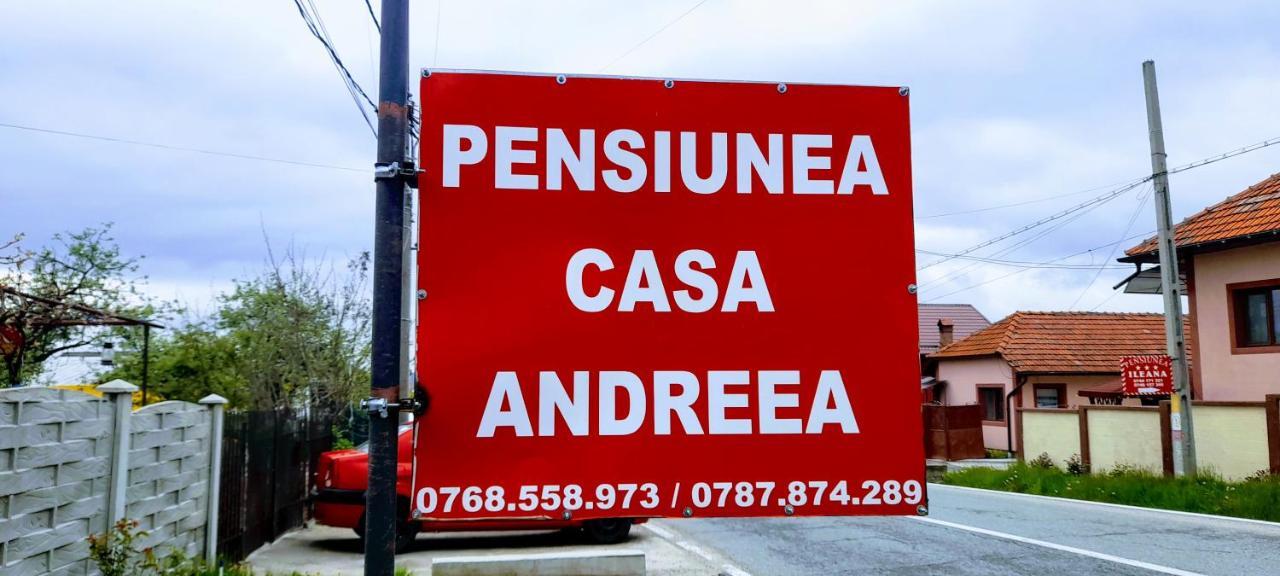 Pensiunea Casa Andreea Novaci-Străini Exteriér fotografie