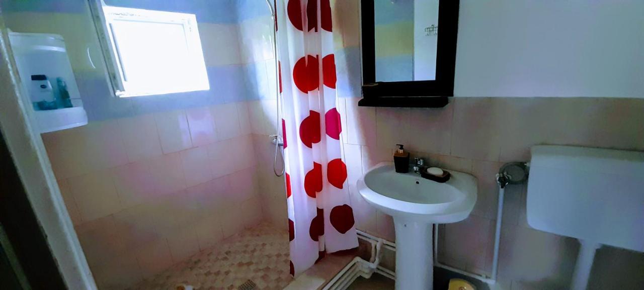 Pensiunea Casa Andreea Novaci-Străini Exteriér fotografie