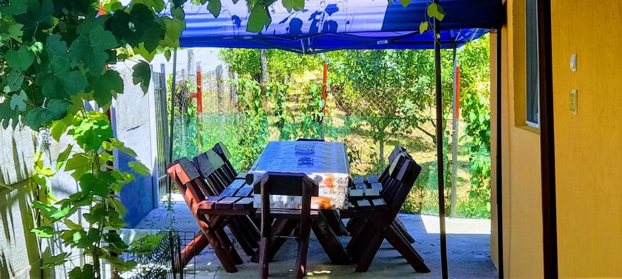 Pensiunea Casa Andreea Novaci-Străini Exteriér fotografie