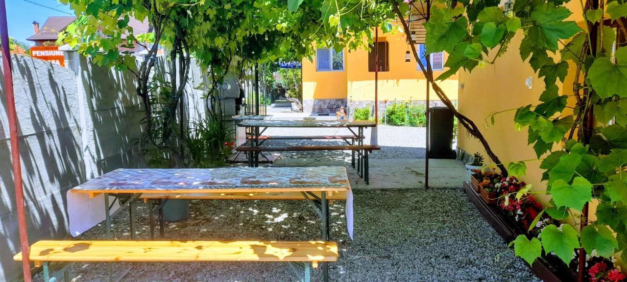 Pensiunea Casa Andreea Novaci-Străini Exteriér fotografie