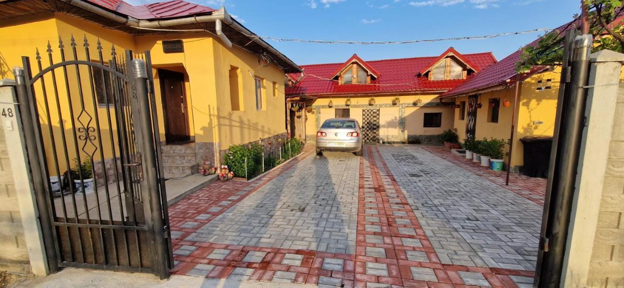 Pensiunea Casa Andreea Novaci-Străini Exteriér fotografie