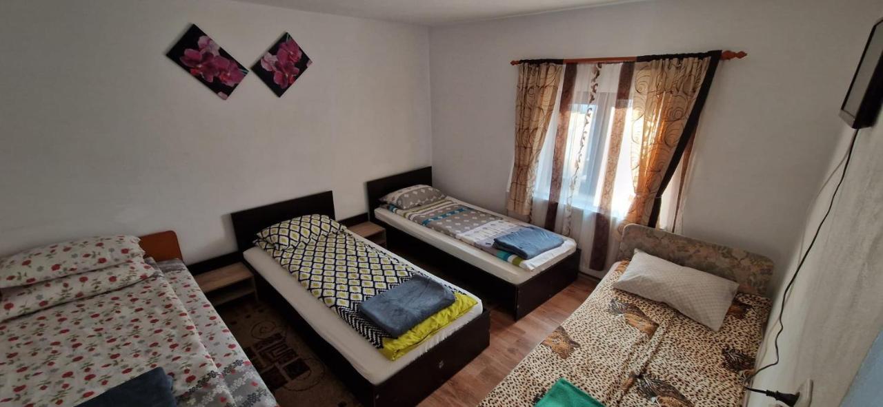 Pensiunea Casa Andreea Novaci-Străini Exteriér fotografie