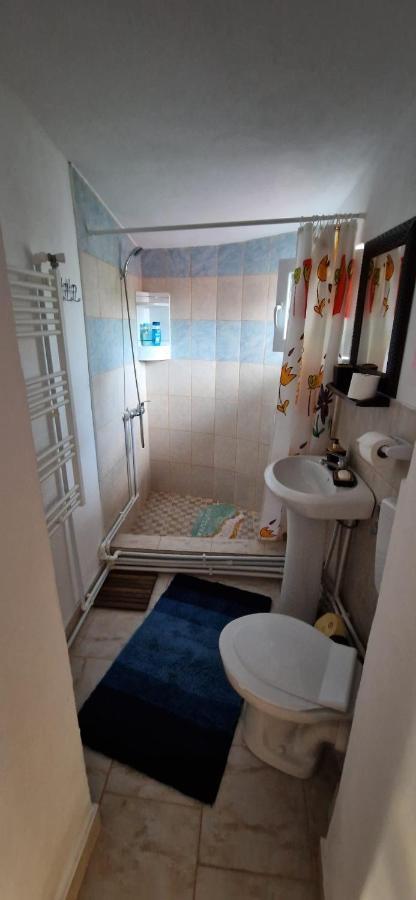 Pensiunea Casa Andreea Novaci-Străini Exteriér fotografie