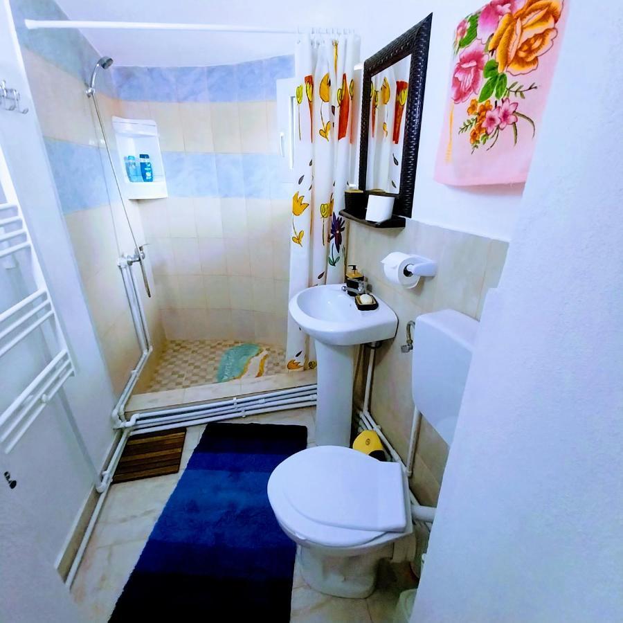 Pensiunea Casa Andreea Novaci-Străini Exteriér fotografie