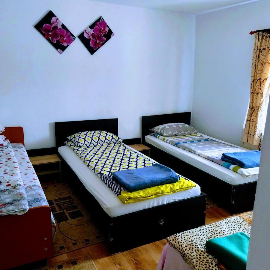 Pensiunea Casa Andreea Novaci-Străini Exteriér fotografie